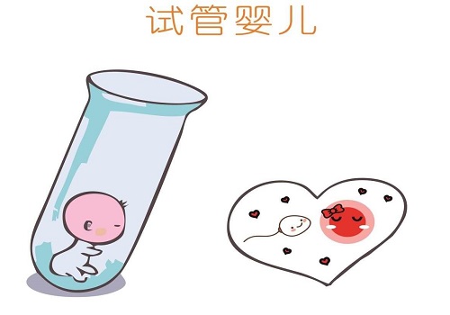 哪些人群适合试管婴儿长方案？