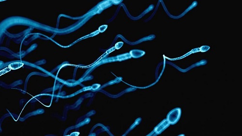 俄罗斯第三代试管婴儿的费用究竟要多少