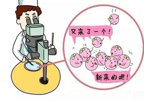 一次三代试管大概费用多少